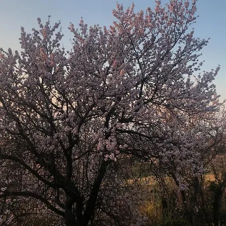 Panorama Balaton 别墅 Balatongyörök