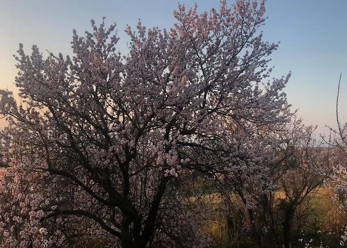 Panorama Balaton Villa Balatongyörök